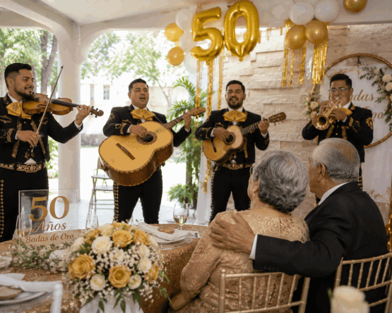 MARIACHI SON DE MI TIERRA