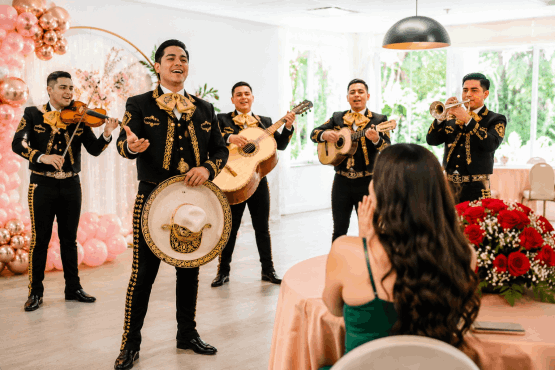 MARIACHI SON DE MI TIERRA