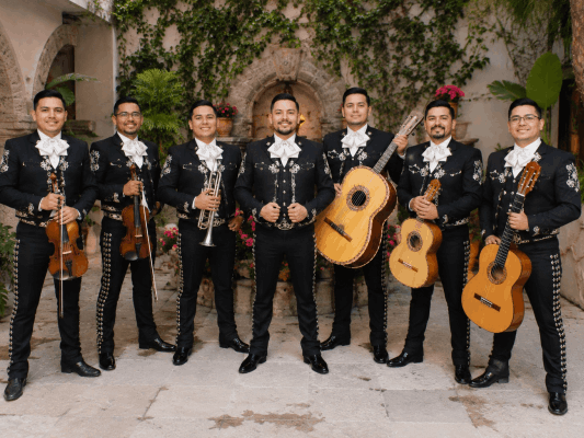 MARIACHI SON DE MI TIERRA